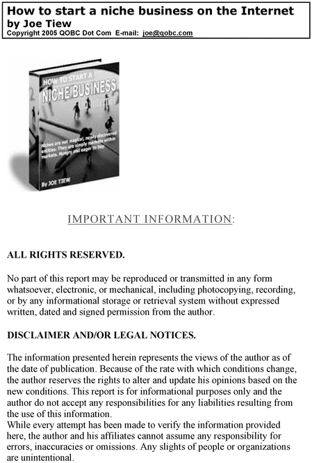 Product picture Creating A Niche Business Online